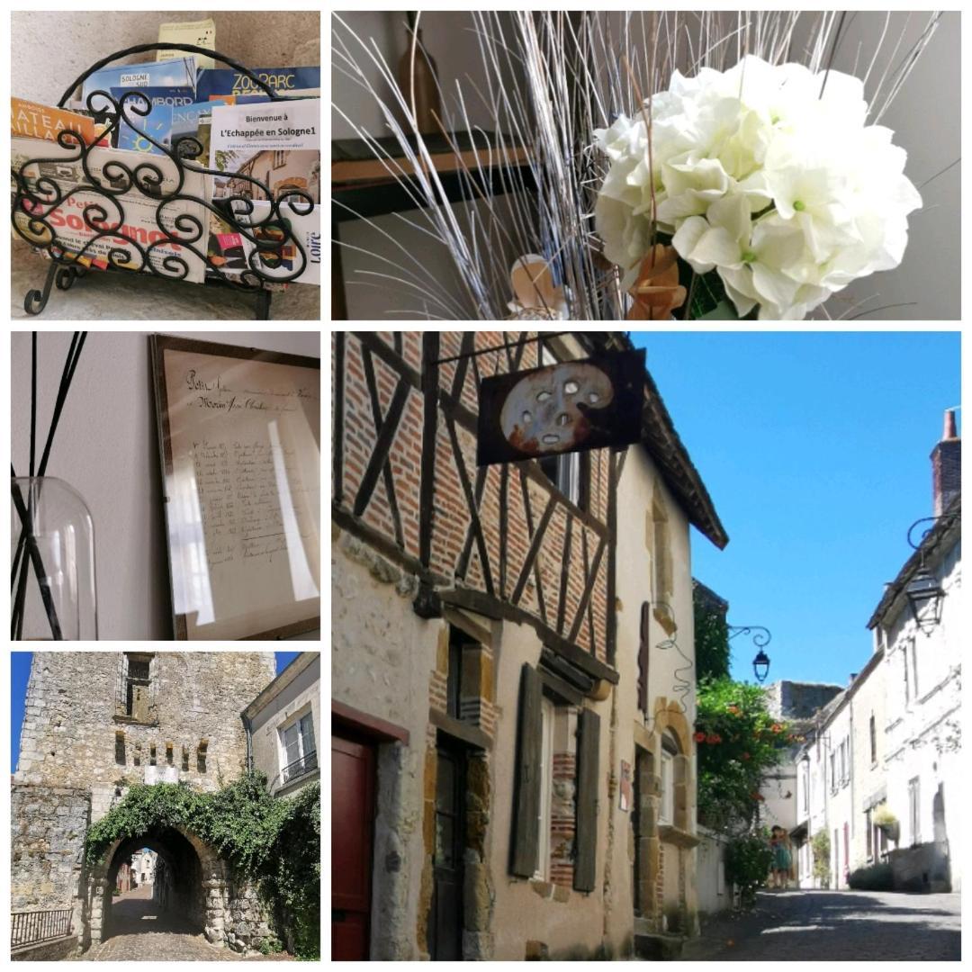 Willa L'Echappee En Sologne Mennetou-sur-Cher Zewnętrze zdjęcie